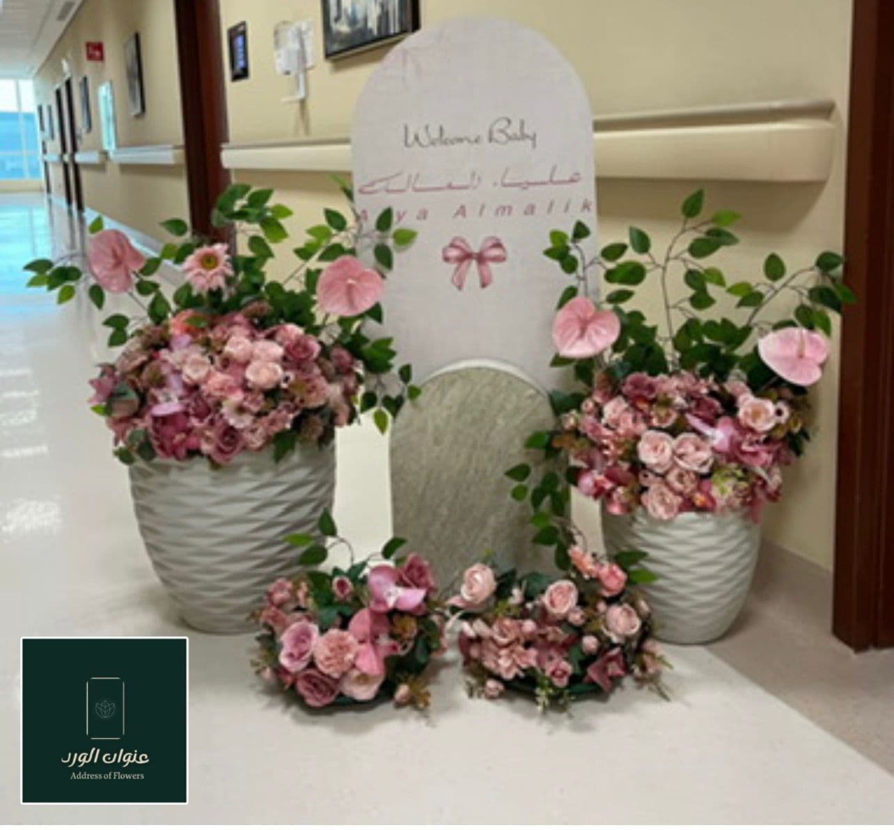 استقبال مولود